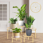 5-piece set of metal plant potted flower racks, heavy-duty flower pot plant - Image 3