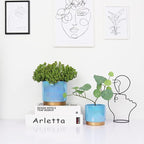 Gepege Ceramic Pots for Plants, Rainbow Pearl Glaze Planter - Image 5