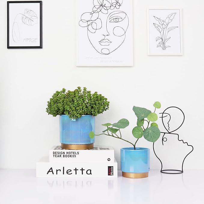 Gepege Ceramic Pots for Plants, Rainbow Pearl Glaze Planter - Image 5