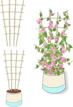 Natural Bamboo Trellis, Fan-Shaped Plant Support Trellis - Image 6