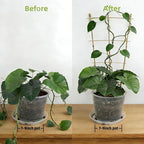 5 Pack 16" Bamboo Trellis for Climbing Plants-Natural Garden Ladder Fan -Shaped - Image 7