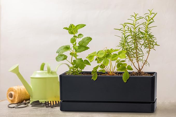 D'vine Dev 12 Inch Window Box Planter, Rectangle Plastic Herb Planter - Image 3
