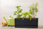 D'vine Dev 12 Inch Window Box Planter, Rectangle Plastic Herb Planter - Image 3