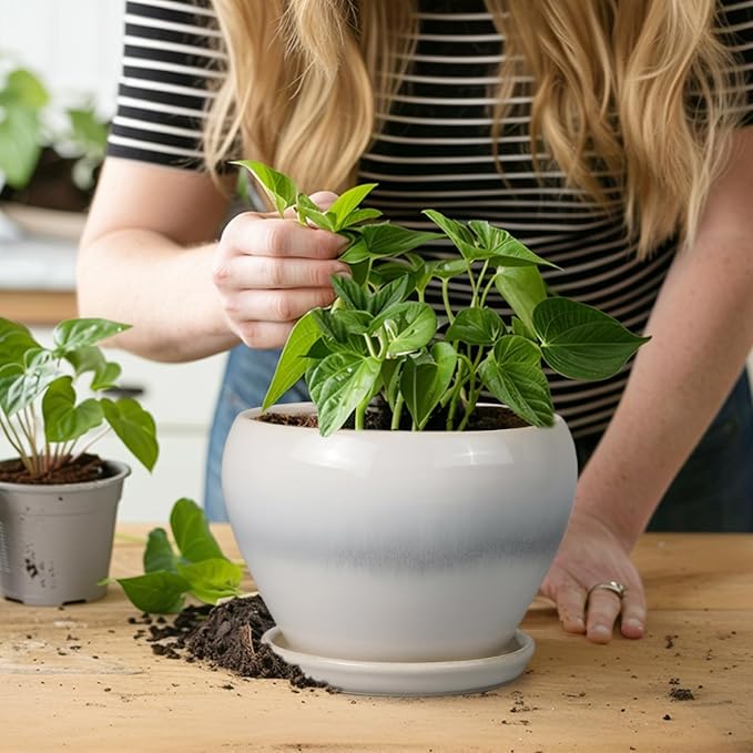 Planter Pot 6 Inch - Image 6