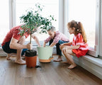 Self Watering Green Plastic Plant Pot Flower Planters - Image 5