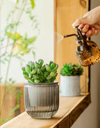 Melphoe Self Watering Pots for Indoor Plants Planter, 4.3 Inch 2 Pack Planters - Image 4