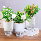 Haawooky 10 Pack Clear Self Watering Planters, 4.1Inch Wicking Flower Pots - Image 7