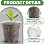 3.5" Clear Seeding Pots 100-Pack Round - Image 3