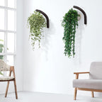 Stylish Wooden Plant Hanger – 2 Pack, 8-Inch Indoor/Outdoor Wall Hooks - Image 3