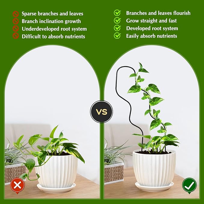 13.4 Inch Indoor Plant Trellis for Climbing Plants, Metal Trellis, Small Garden - Image 3