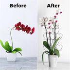Garden Plant Trellis for Indoor Plants, Stackable Heavy Duty Metal Trellis - Image 3