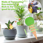 Self Watering Planter Insert Terracotta Watering Spikes Premium Plant Watering - Image 2