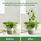 Plant Trellis for Climbing Plants, 15.75 inch Garden Small Metal Arch Glod - Image 2