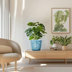 8 Inch Plant Pot - Image 7