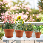 10 Inch Plastic-Flower-Pot-for-Indoor-Plants, 4 Pack Large Outdoor Planter Pot - Image 7