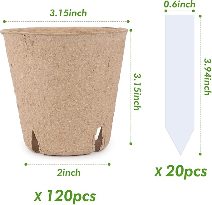 homenote Peat Pots - Image 2