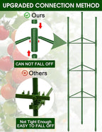 Tomato Cage, Raised Garden Bed Plant Support Stakes - Image 2