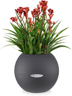Lechuza Puro Color 20 Slate, Self-Watering Small Indoor Planter, D7.9 H6.3 in - Image 2