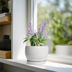 SQOWL Ceramic Planters for Indoor Plants - Image 2