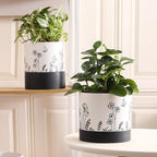 Nihow Ceramic Plant Pot: 6 Inch Planter - Image 4