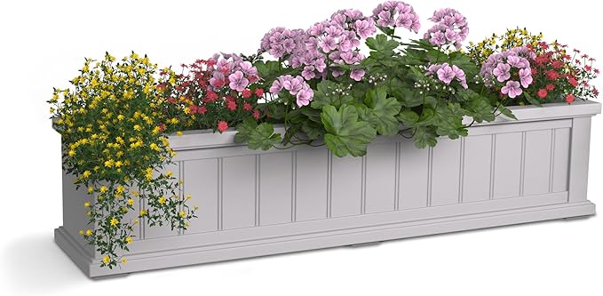 Mayne Cape Cod 4ft Window Box by Mayne