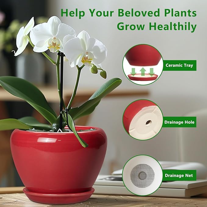 Ceramic Planter for Indoor Plants 8 Inch - Image 6