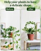 3 Pcs Unique Round Hoya Garden Trellis, Different Small Houseplant Trellis - Image 4