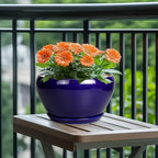 Ceramic Pot for Plants - Image 4