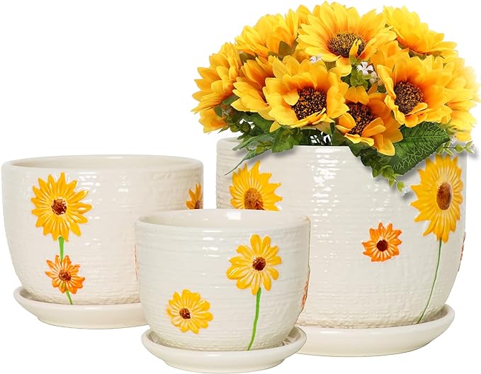 Ton Sin Plant Pots, 4+5+6 inch Pots by TonSin