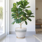 Ceramic Planter - Image 4