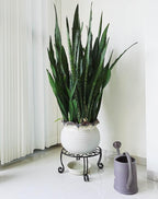 2 Pack Heavy Duty Iron Plant Stand, 11.8'' Diameter, Powder Coated, Sturdy & - Image 3
