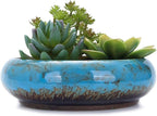 VanEnjoy 7.3 inch Round Large Shallow Succulent Ceramic Glazed Planter Pots by VanEnjoy