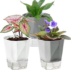 3 Pack Self Watering Flower Pots 6.5 Inch, Plant Pots by Samhe