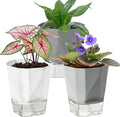3 Pack Self Watering Planter Pots, 4.9 Inch African Violet Pots by Samhe