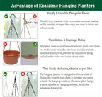 Hanging Planter Self Watering 10 Inch, 2 Pack Indoor Outdoor Hanging Baskets - Image 6