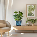 8 Inch Plant Pot - Image 7