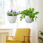 10 inch Self Watering Hanging Planters, 2 Pack Hanging Baskets - Image 7