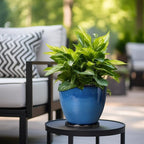 8 Inch Planter - Ceramic Plant Pot - Image 5