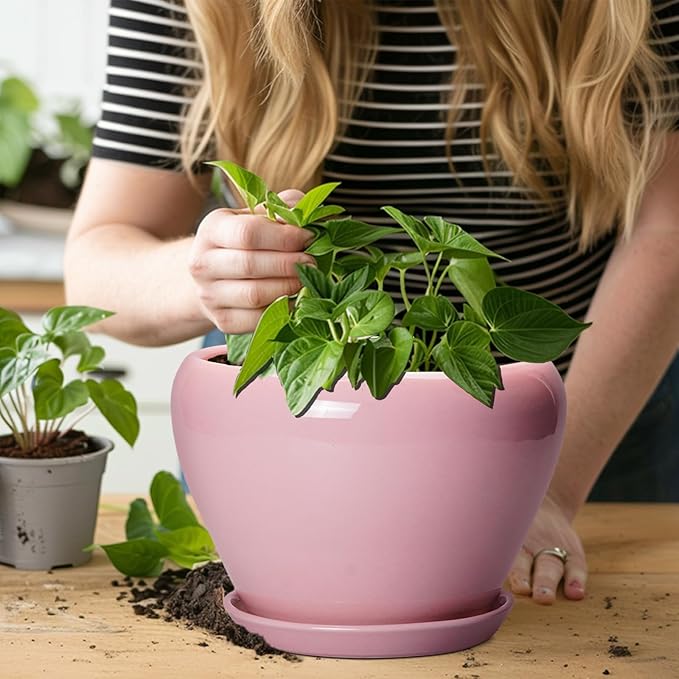 Ceramic Modern Glaze Succulent Planter Pot - Image 5