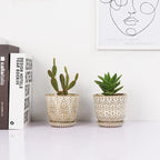 Gepege Succulent Pots, 4 Inch Small Indoor Ceramic Planter Pot - Image 8
