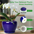6 Inch Plant Pot - Image 6