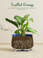 LE TAUCI Plant Pots, 4.1+5.1+6.5 inch, Ceramic Planters - Image 4