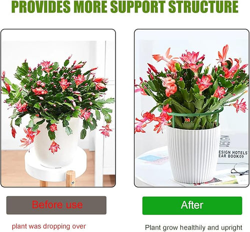 36 Pack Plant Support Stakes for Indoor Plants, Half Round Plant Stakes Ring - Image 2