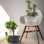 6 Pack 10 inch Plant Pot, Outdoor Pots - Image 6