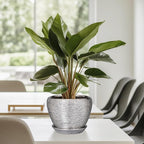 Ceramic Planter - Image 8