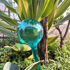 10pcs Plant Self Watering Globe Stakes, Plant Watering Stakes Automatic Plant - Image 7