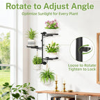 iDavosic.ly Rotating Window Plant Shelves, 3-Tier Metal Wall Stand - Image 2