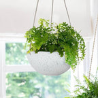 LA Jolie Muse Hanging Planters for Indoor Plants - Image 7