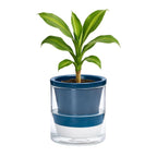 D'vine Dev 4 Inch Design Self Watering Planter by DvineDevPlanterPotsandStand