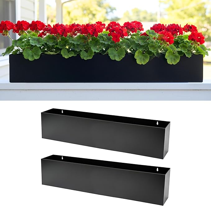 LaLaGreen Wall Planters Carbon Steel Black Metal Hanging Flower Pot by L%C3%A1L%C3%A1Green